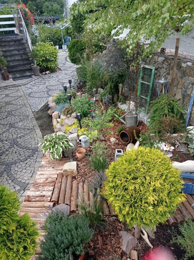 Pokoje Goscinne Cisowa Ζιελόνα Γκόρα Εξωτερικό φωτογραφία